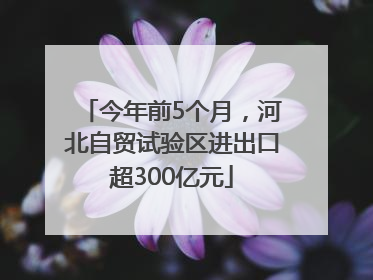 今年前5个月，河北自贸试验区进出口超300亿元